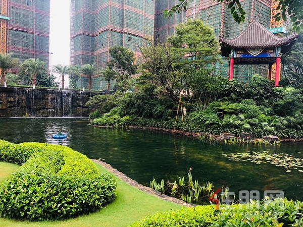 微信图片_20190828105246_副本.jpg