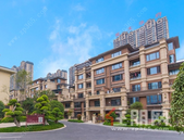 又到拼手速的时候了|楼尊新品 明日盛大加推