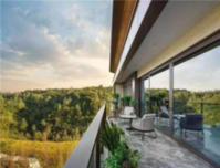 自贸区今早正式揭牌，这个真正“自贸区房源”藏不住了！