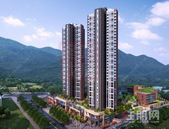 预算100万，该买临深3房还是龙岗2房？其实还可以选择……