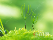 柳州910个老楼房盼加装电梯 政策解读为你答疑