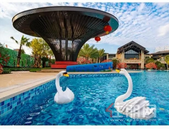 喜迎集团成立九周年庆！6大优惠福利已上线！