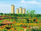 火速争藏|南宁恒大华府三周年 感恩9折惠全城