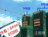【润景江都】桂平新城南江景楼盘**工程进度实况，8#9#双栋荣耀封顶，实力共鉴！！