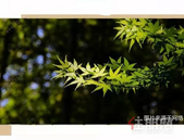 润月·公园里丨满足亲近自然的憧憬