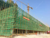 八月家书|【荷城嘉园】再传佳报 8#喜封金顶