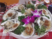 蚝门盛宴，欢聚金湾——晨华金湾御府首届生蚝美食节欢乐落幕