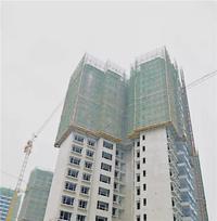 碧桂园·悦府|1月“家”期如约 温暖而至