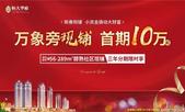 万象旁临街现铺全城致献，首期10万起开抢