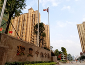 南流江畔 都市绿心 l 银丰中央公园建成投入使用