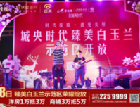 全城瞩目！城央时代臻美白玉兰示范区倾城耀启