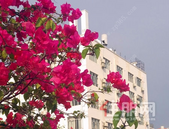 北海市住房公积金管理委员会关于调整住房公积金贷款政策的通知