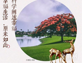 【碧桂园金科·博园府】公园旁的家，尽情“森”呼吸