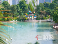 先下手为强，后下手没房|黄金周钜惠抢先享，85折圆梦南宁华府