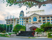 一个罐头厂的革命，一片荔枝林的传奇