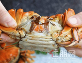 唐风雅筑·致“蟹”荷城 | 大唐世家国庆大礼欢乐来袭！