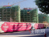 【圣世阳光】工程进度丨飞舞金黄染秋情 再“鉴”*美天鹅