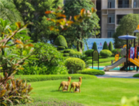 放“价”通知：恒大城购房享黄金周钜惠五重礼