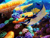 贵港海洋狂欢节！！！百万门票免费领！