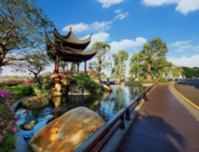 洛溪岛升维，星河湾半岛担纲城市封面