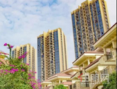 柳州某楼盘车位“只租不售”遭众业主投诉 管理部门：房开销售违规在先