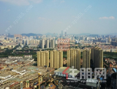 2019年40城“卖地”收入同比增近19% 杭州居首