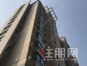 2019年全国楼市调控达620次 刷新历史纪录