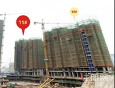 永利印象丨一月家书，与您见证印象的茁壮成长~