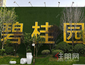 精研市场、聚焦深耕 碧桂园2019年权益销售额达5522亿