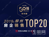 2019柳州楼市销售排行榜：碧桂园登顶双榜 彰泰首入3强