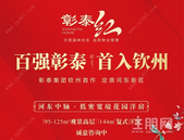 彰泰首进钦州，以城居“红系”敬献钦州，营销中心将于1月19日盛大开放！