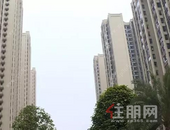 2019年柳州住宅工程质量用户满意度85.6% 同比下降3.2%