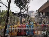 陪伴柳州人20多年 马鞍山缆车开始拆除！