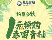 龙凤江城｜来自金秋的甜蜜“柚”惑，1元即可换购泰国青柚1份！