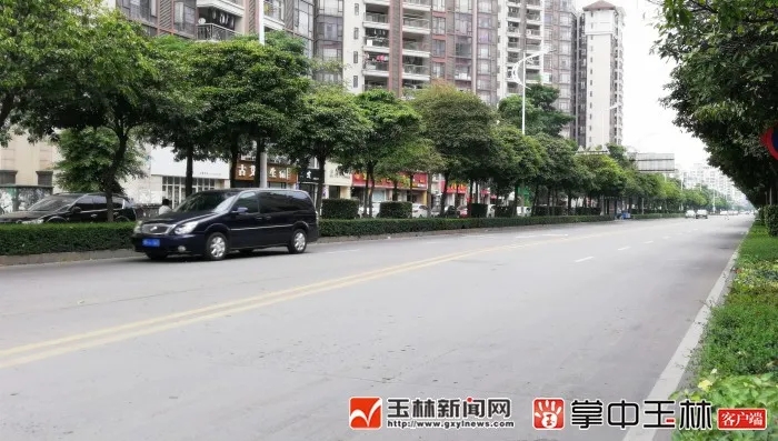 江南大道（苗园路至云香桥段）双向4车道改为双向6车道