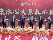 南宁空港恒大养生谷四大园盛大开放 启幕健康生活新方式