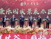 南宁空港恒大养生谷四大园盛大开放 启幕健康生活新方式