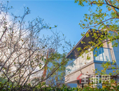 「层院」实景样板间倾城绽放，启幕更有层次的院落生活