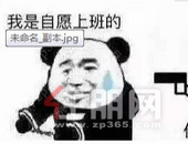 还在努力做个“打工人”？ 首付5万起，让房子替我打工！