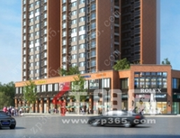 好地段，新商圈，火爆学区金铺预约盛启！