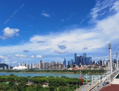 单价2万+累计24个、均价**4万元/㎡! 11月249个楼盘房价新鲜出炉