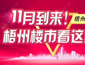 梧州11月房价，揭秘梧州房价