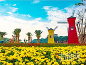 优质学校、品牌商家进驻多重利好轰炸，**火爆，这里注定要火！