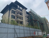 碧桂园金科·博园府｜11月家书，一封家书 冬日相伴