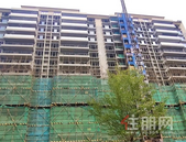 碧桂园交投•中央上城11月家书|深秋寒意浓，执笔传家音