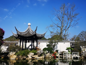 你肯定没见过这么纯粹的江南院子