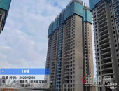 阳光城文澜府｜12月家书,万物冬藏，家书送暖