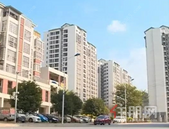 回迁房打着**房旗号进行销售，广西这家公司被有关部门通报了！