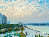 龙凤江城｜当江居生活遇见“凡尔赛文学”，这种画风你想象不到！