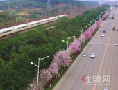 投资近20亿！柳州又一重要铁路工程开工！即将迎来交通新格局！